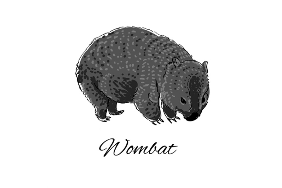 Wombat icon in Illustrations - product preview 8