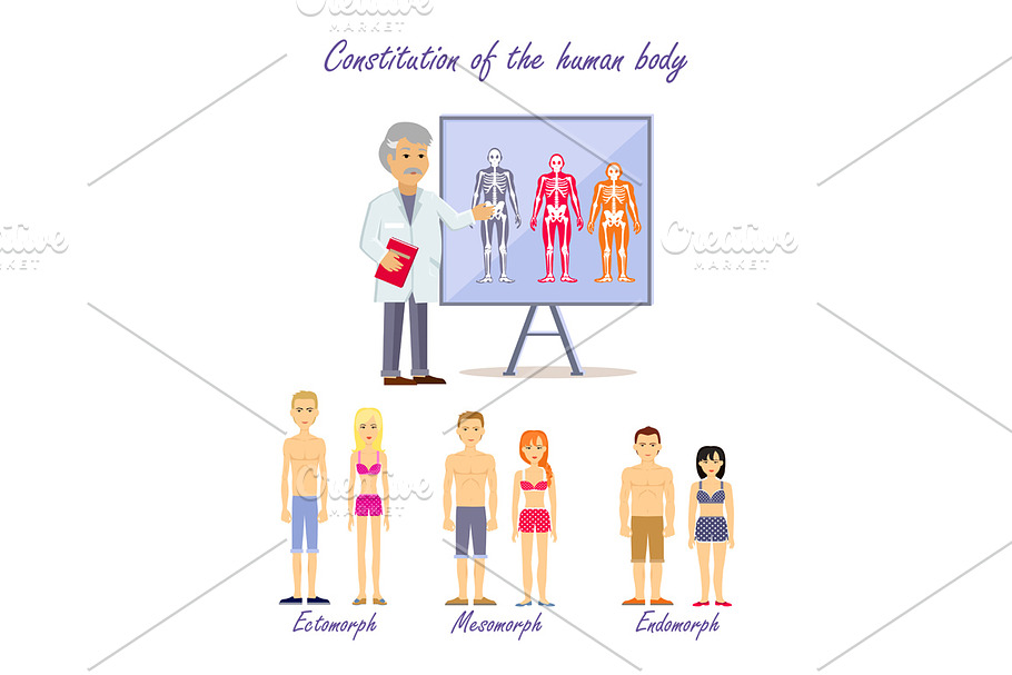 Constitution of the Human Body Types in Illustrations - product preview 8