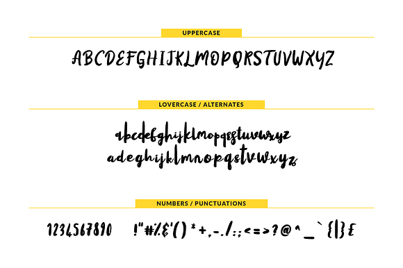 Yellow shoes in Script Fonts - product preview 1