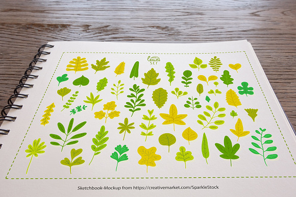 Vector leaves. Nature elements. in Illustrations - product preview 1