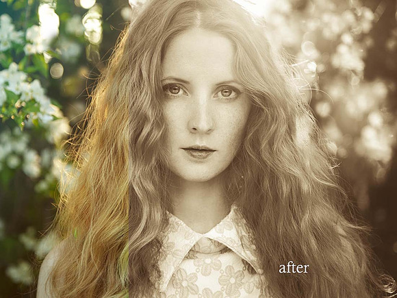 10 Matte Sepia Portrait Presets in Add-Ons - product preview 1