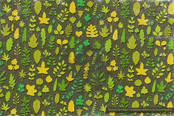 Vector leaves. Nature elements. in Illustrations - product preview 3