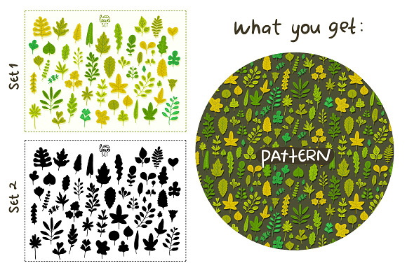 Vector leaves. Nature elements. in Illustrations - product preview 4
