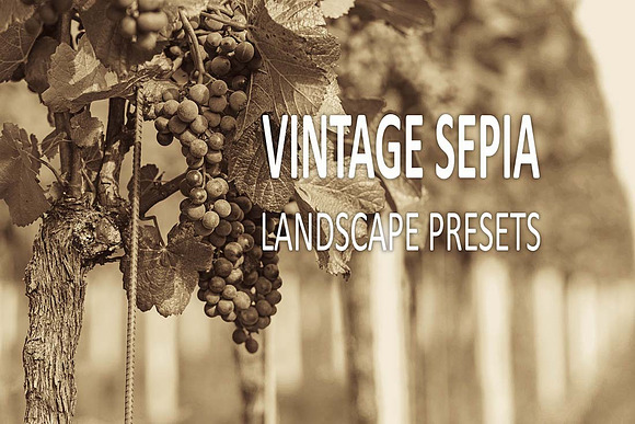 15 Vintage Sepia Landscape Presets in Add-Ons - product preview 11