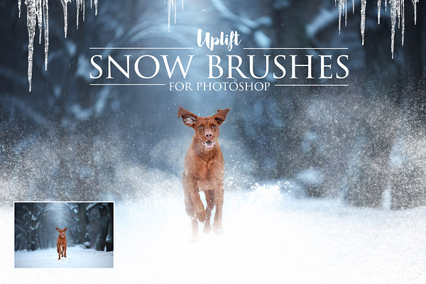25 Snow Brushes for Photoshop