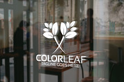 Color Leaf logo