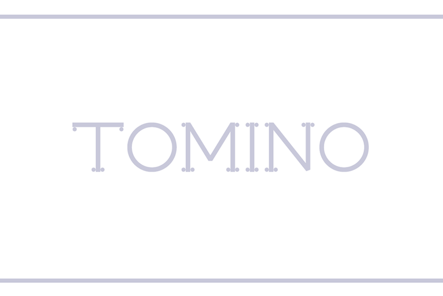 Tomino in Serif Fonts - product preview 8