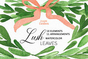 Olive Branches Watercolor Clipart