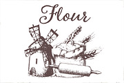 Hand drawn vector flour elements
