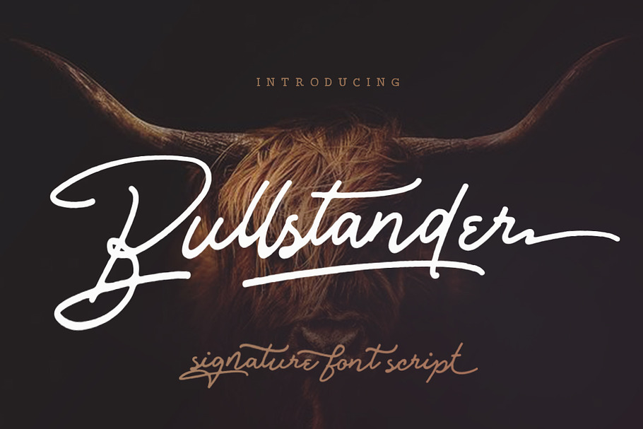 Bullstander 6 Font Set - 60% OFF in Script Fonts - product preview 8