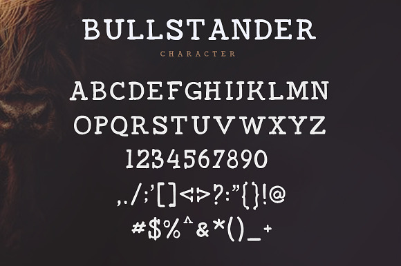 Bullstander 6 Font Set - 60% OFF in Script Fonts - product preview 11
