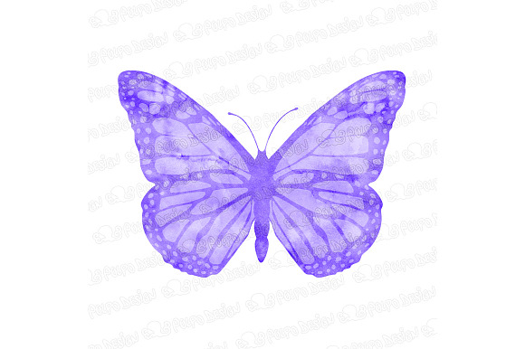 Watercolor Butterflies clip art in Objects - product preview 2