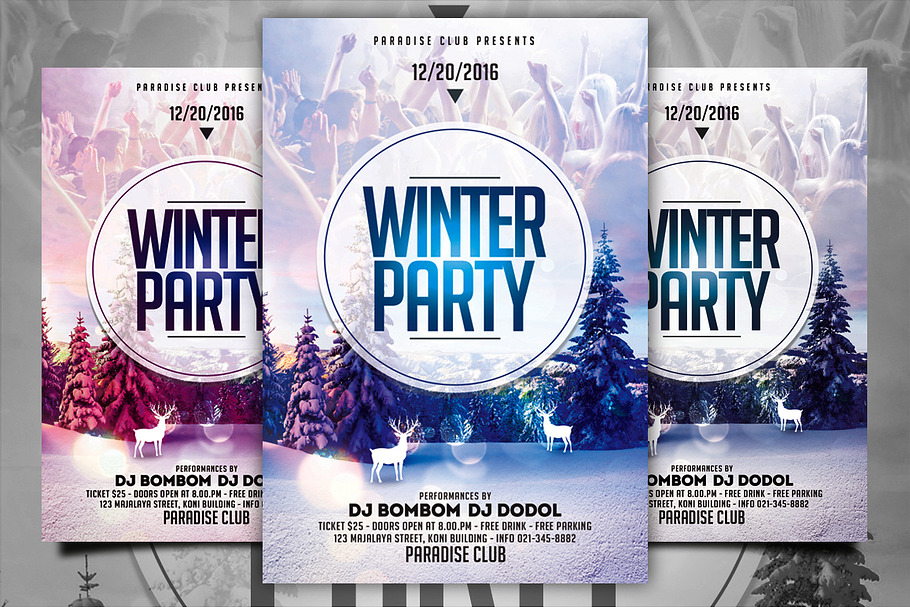 Winter Party Flyer