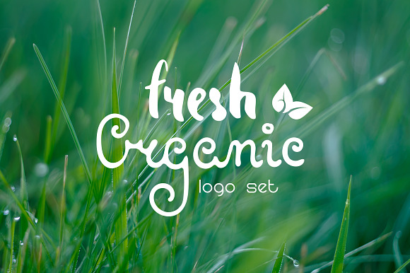Fresh eco logo set in Logo Templates - product preview 1