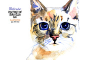 Watercolor portrait of Burmilla cat