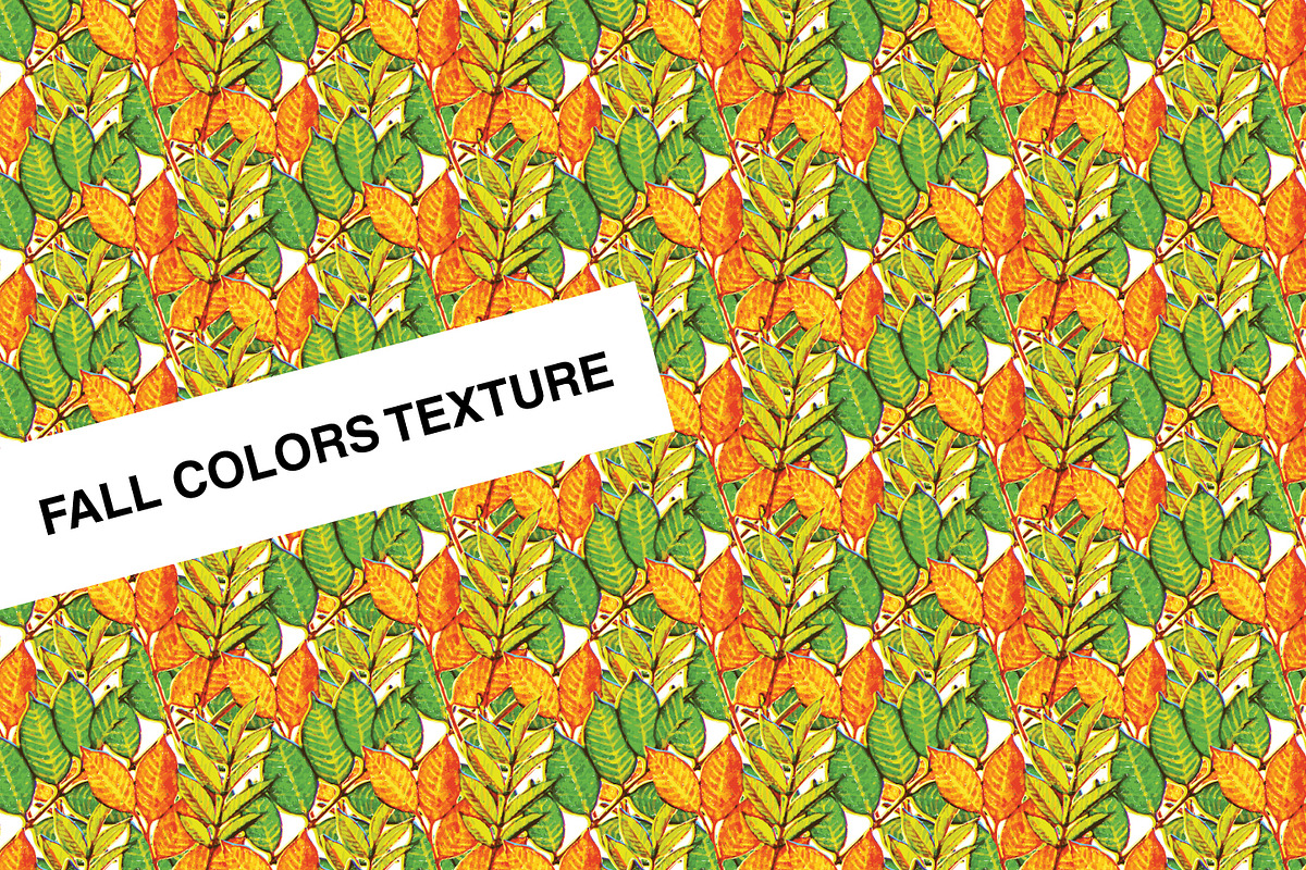 Fall Colors in Patterns - product preview 8
