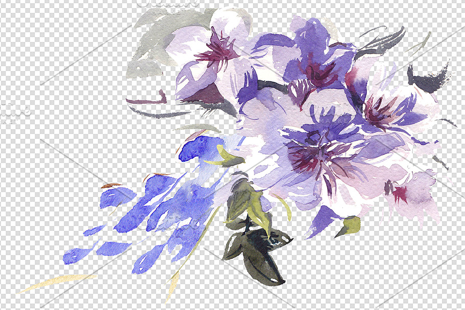 Floral Watercolor Graphic Set