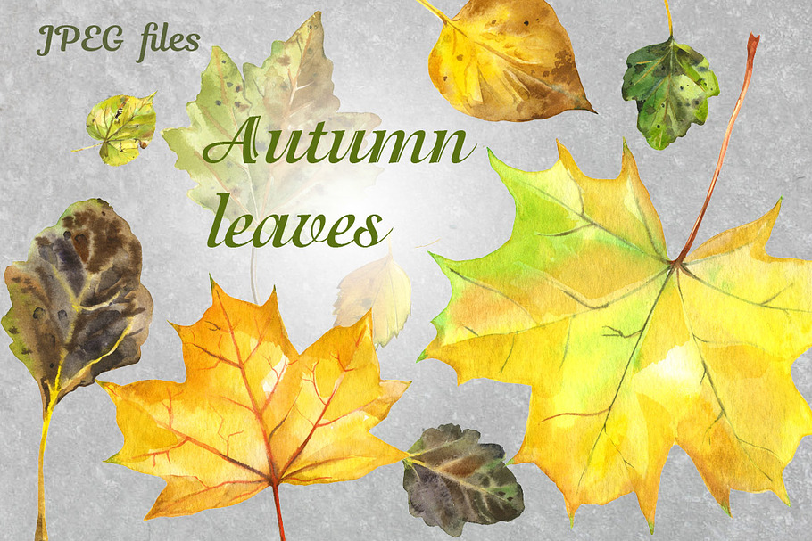 Autumn leaves - watercolor set