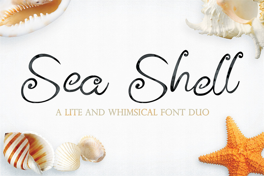 Sea Shell Script in Script Fonts - product preview 8