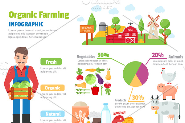 Organic farm infographic vector set