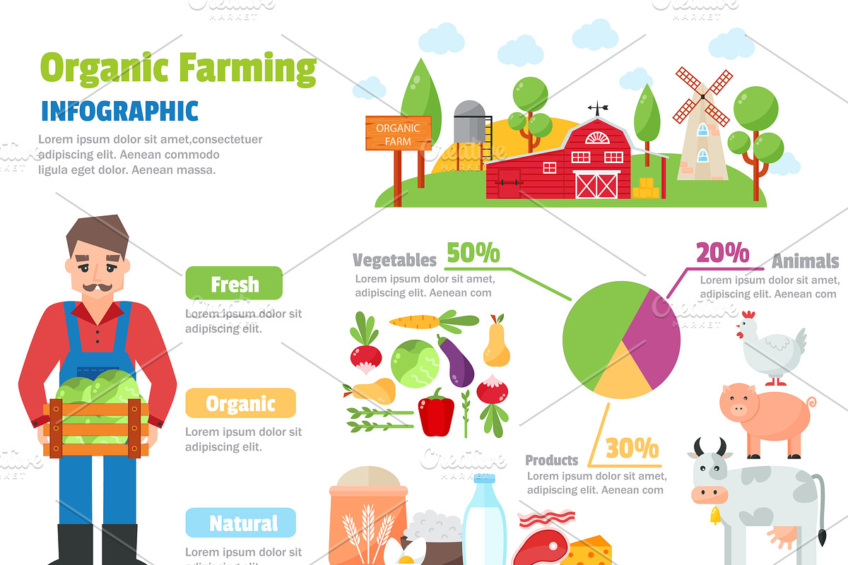 Organic farm infographic vector set in Illustrations - product preview 8