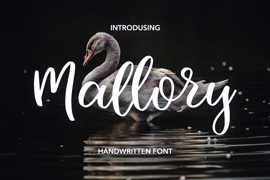 Mallory Script in Script Fonts - product preview 8