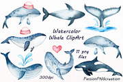 Watercolor Whale Clipart