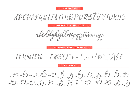 Stemle Stylistic Font in Script Fonts - product preview 6