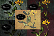 20 Antiqued Textures Pack 1