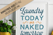 Laundry Today or Naked Tomorrow