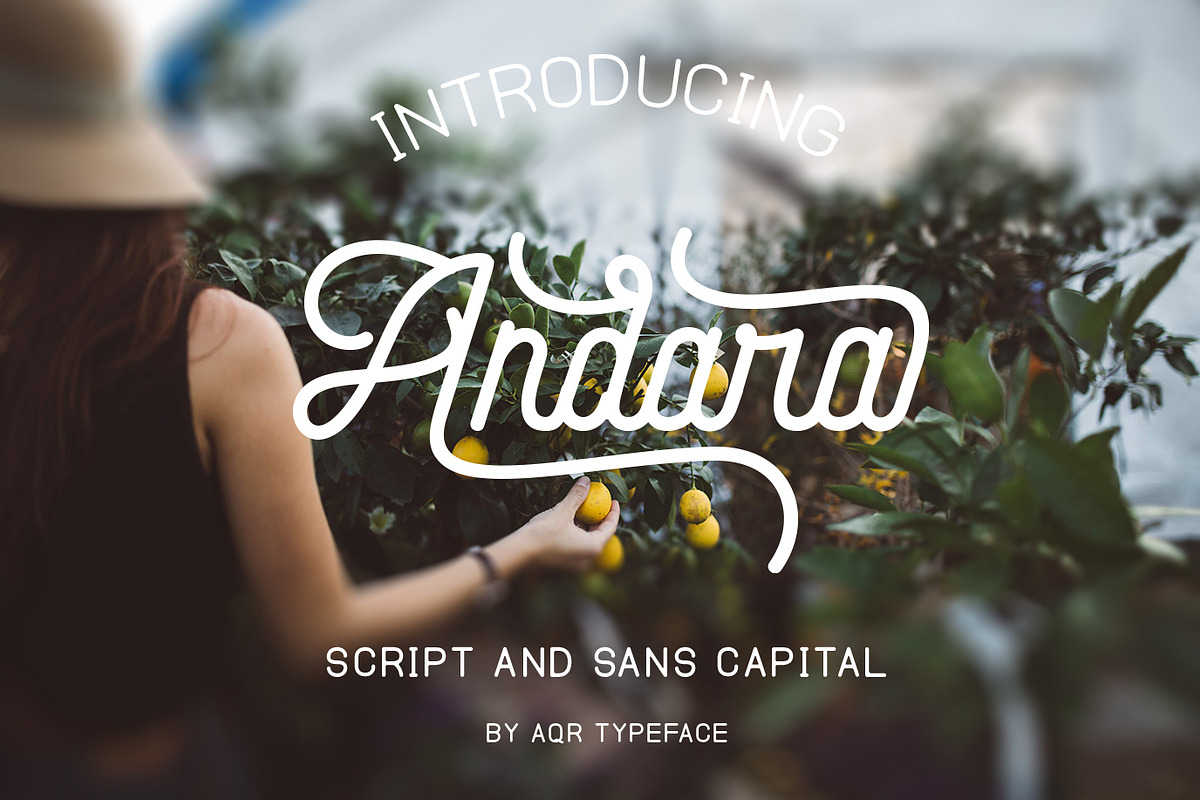 Andara Font ( 30% OFF ) in Script Fonts - product preview 8