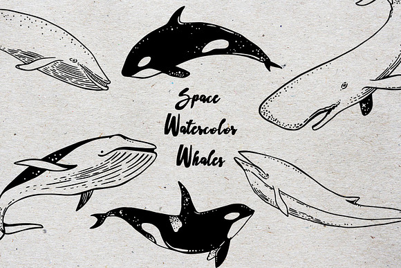 Space Watercolor Whales in Objects - product preview 1