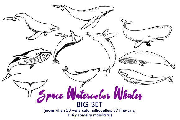 Space Watercolor Whales in Objects - product preview 6