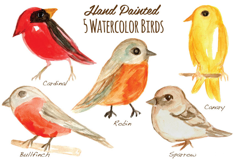 Watercolor Birds Clipart Handpainted in Illustrations - product preview 8