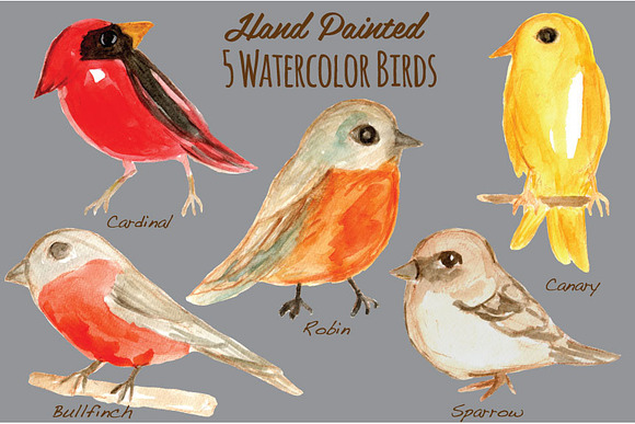 Watercolor Birds Clipart Handpainted in Illustrations - product preview 1