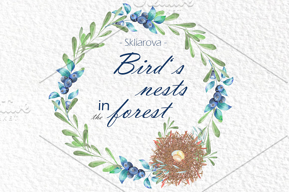 Bird's nests in the forest, vol. 1 in Illustrations - product preview 5
