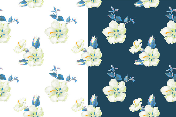 Hibiscus Flower Set. Png,Jpg in Illustrations - product preview 2