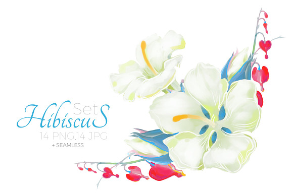 Hibiscus Flower Set. Png,Jpg in Illustrations - product preview 3