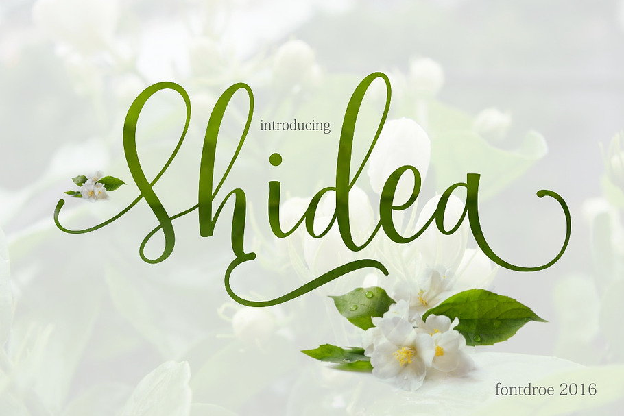 Shidea in Script Fonts - product preview 8