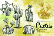 Cactus Sketch Set