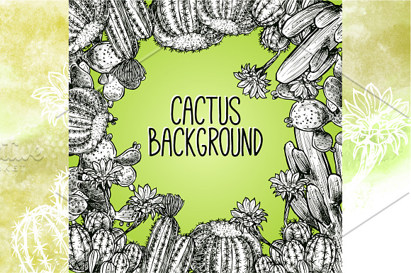 Cactus Sketch Set in Illustrations - product preview 3