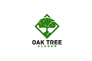 Oak Tree 