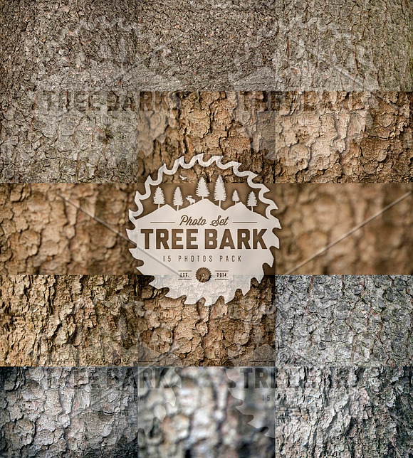 TreeBark - 15 photoset in Textures - product preview 2