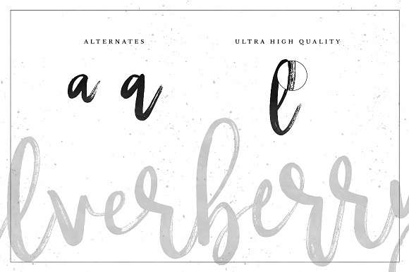 Silverberry - Dry Ink Font in Script Fonts - product preview 5