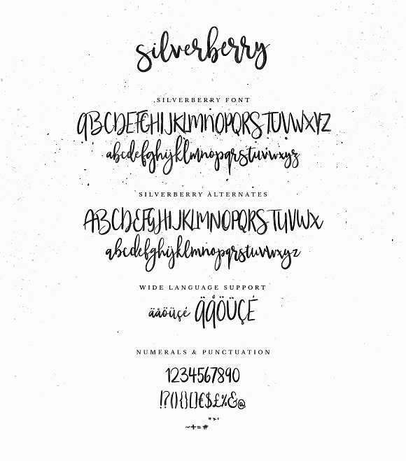 Silverberry - Dry Ink Font in Script Fonts - product preview 6