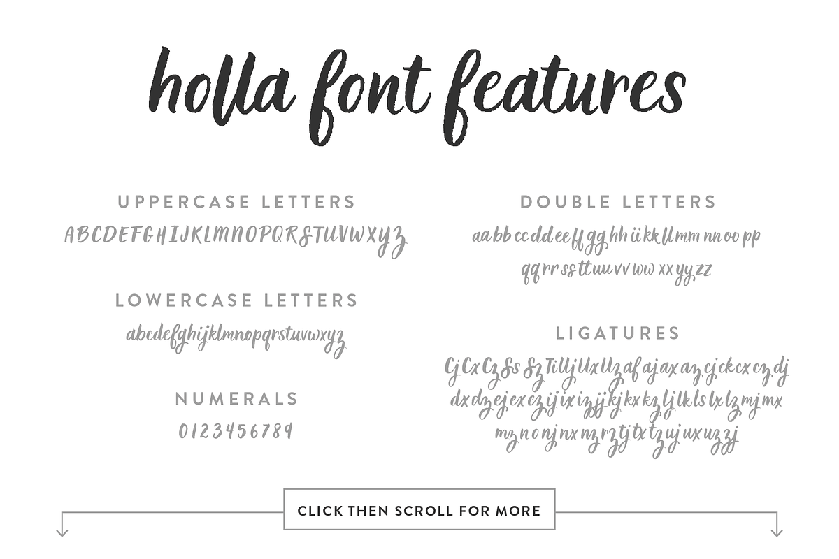 Holla Script Font Script Fonts Creative Market