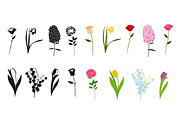Flowers vector set