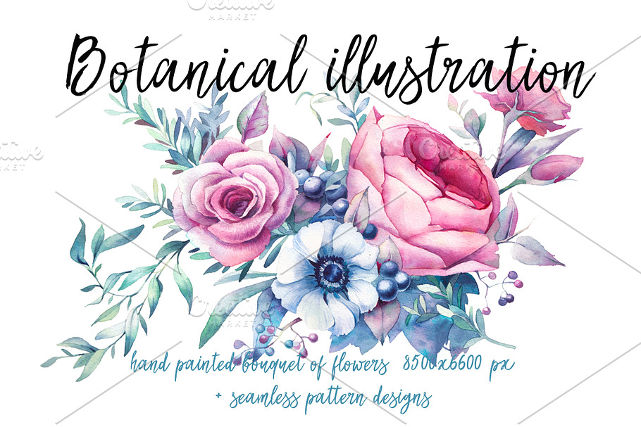 Botanical illustration in Illustrations - product preview 8