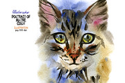 Watercolor Maine Coon cat