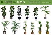 12 Potted Home Plants vol.2